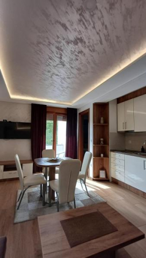 Forest 11 apartman Spa & Wellness